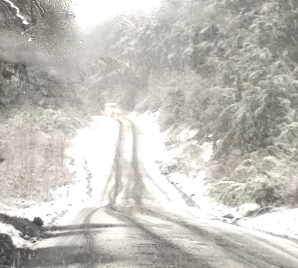 estrada neve chile