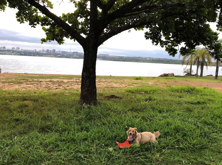 5 lugares para curtir o lago Paranoá em Brasília