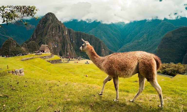 5 destinos para viajar em junho na América do Sul e Caribe